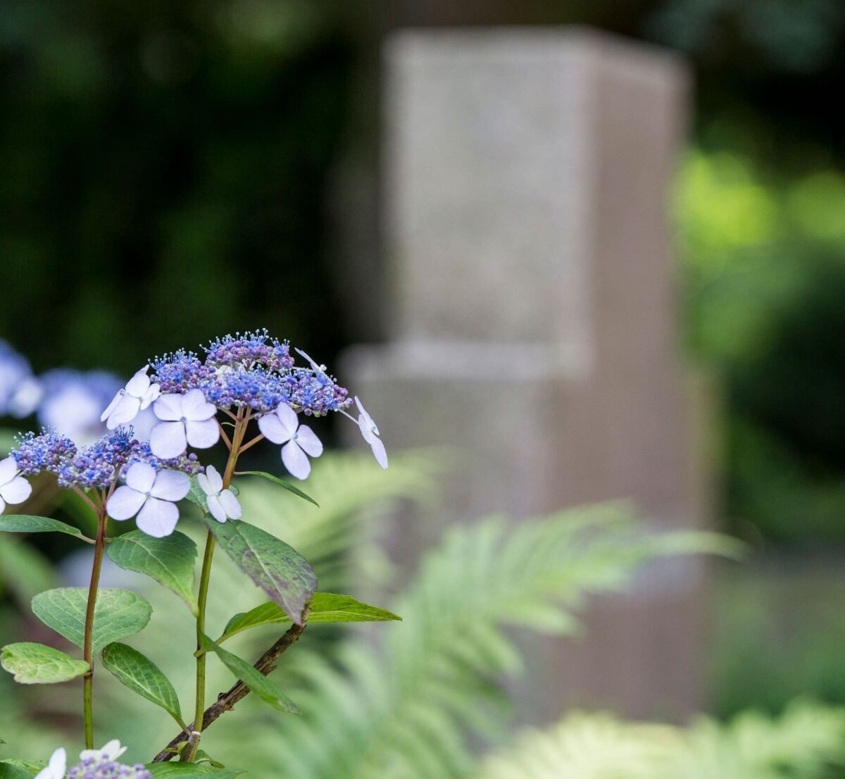 Blumen auf Friedhof